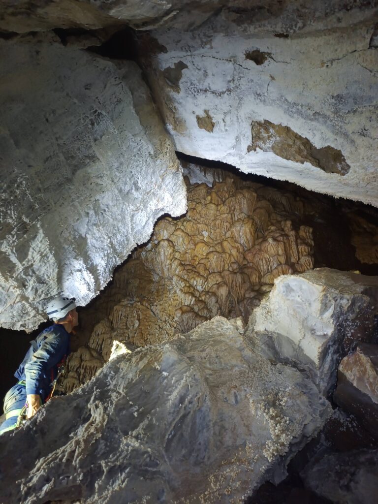 img 20251130 132357519